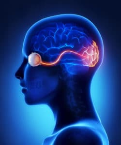 Neuroftalmologia